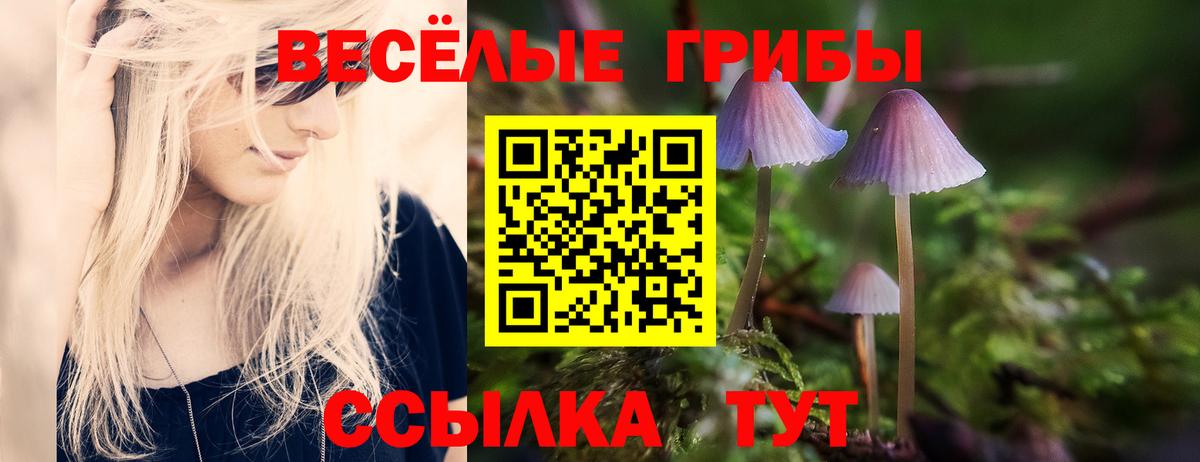 Псилоцибиновые грибы GOLDEN TEACHER Иваново