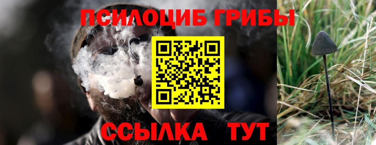 Псилоцибиновые грибы GOLDEN TEACHER  Псилоцибиновые грибы ЛСД  Иваново  Вход с VPN 